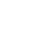 Webflow Logo