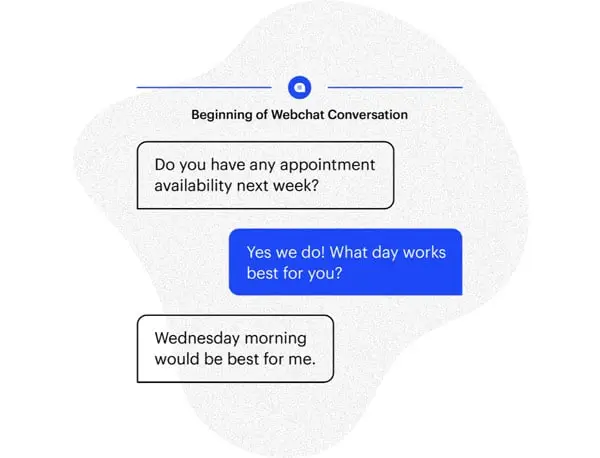 Appointment scheduling webchat conversation screenshot.