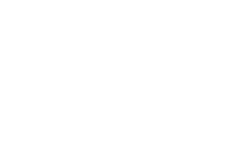 Stach Consulting Logo